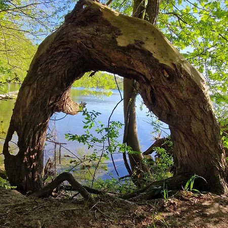 Sonnenhaus Casa vacanze *