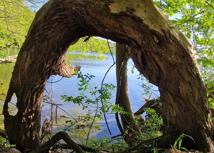 Sonnenhaus بيت للعطل *